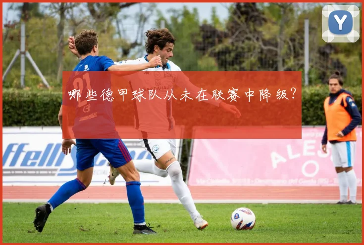 哪些德甲球队从未在联赛中降级？