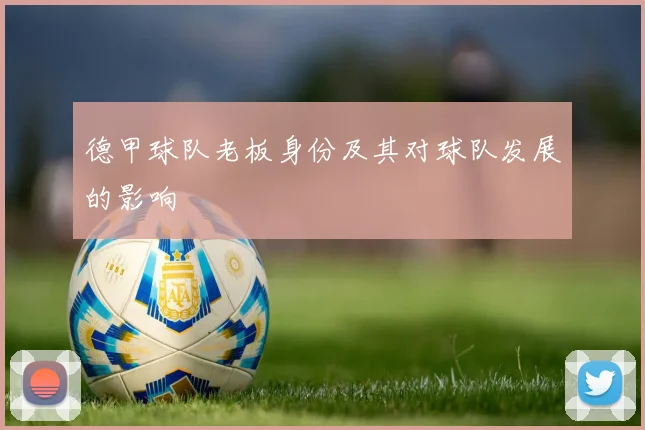 德甲球队老板身份及其对球队发展的影响